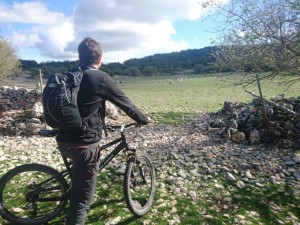 Mountain biking Brač